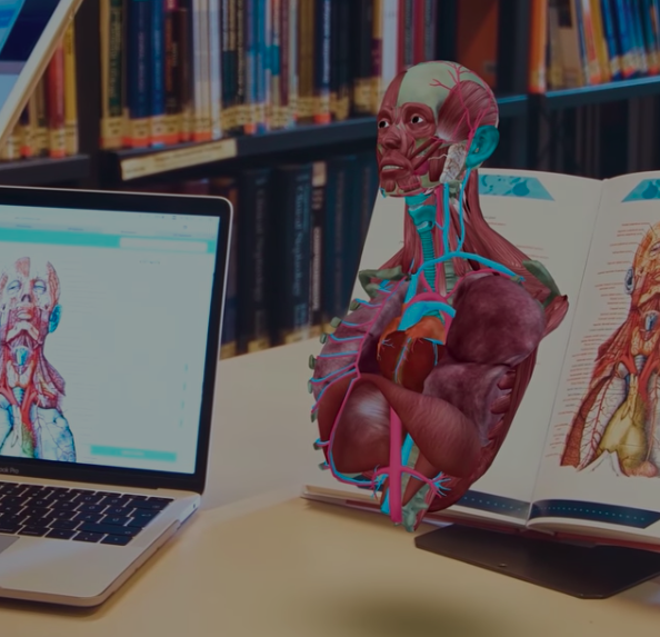 human anatomy app 